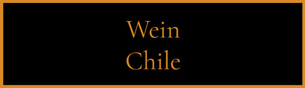 Chile Wein weiß rosé rot drinks unlimited webshop
